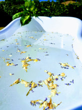 Load image into Gallery viewer, Focus