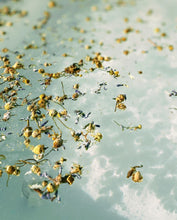 Load image into Gallery viewer, Dream