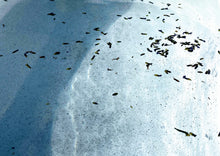 Load image into Gallery viewer, Luna Llena